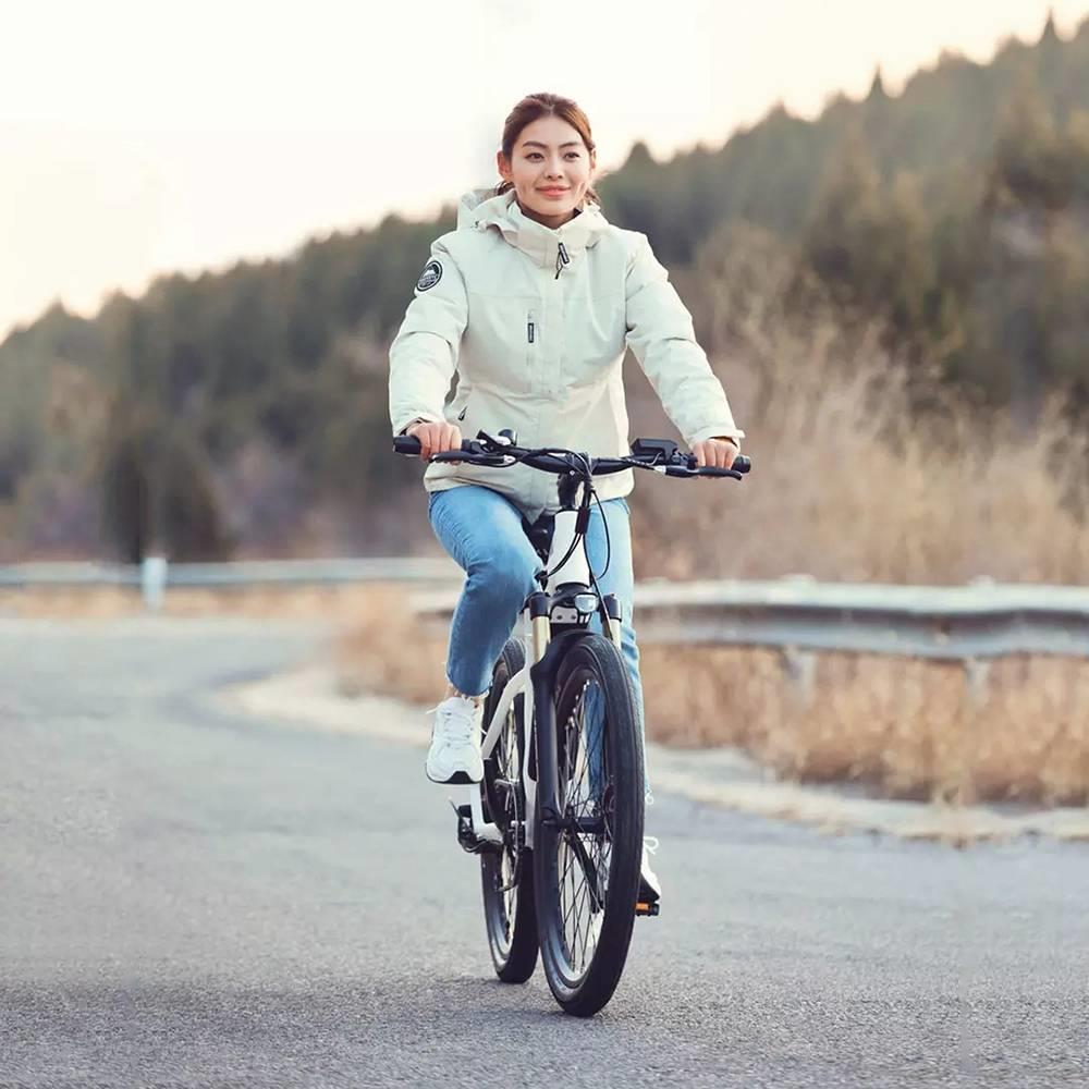 HIMO C26 Electric Bicycle 26 Inch 250W Motor Removable 48V 10Ah Battery Up To 100km Range Dual Disc Brake  SHIMANO 7s Gear Shift System Aluminum Alloy Frame Adjustable Heights - Gray