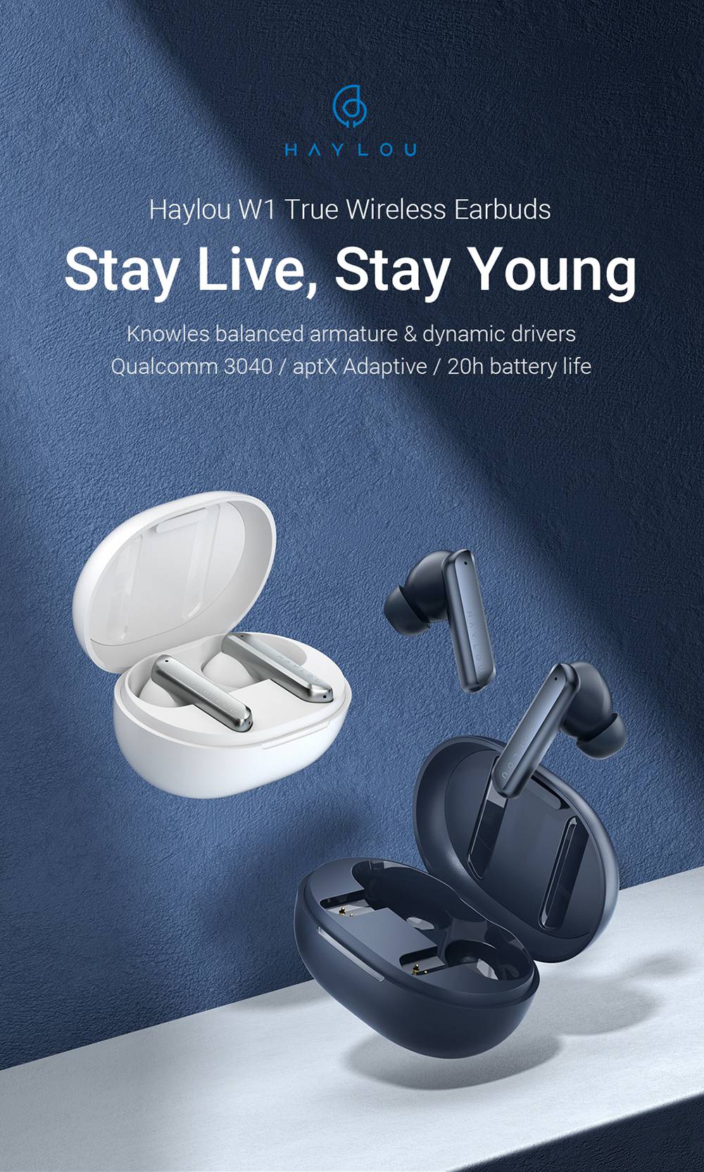 Haylou W1 Qualcomm QCC3040 Bluetooth 5.2 Koptelefoon, Apt-X/AAC, Strijkijzer + Moving Coil