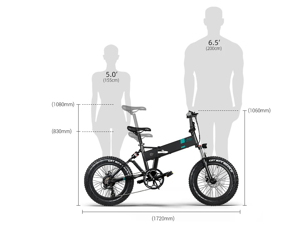 FIIDO M21 Folding Electric Bike 20" Fat Tire Mountain Bicycle with Torque Sensor 500W Motor Max Speed 36Km/h 48V 11.6AH Battery Up To 130km Range Max Load 120kg - Black
