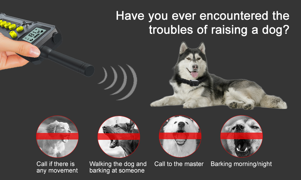 T10 Electric Dog Training Device Collar Wireless LCD Display