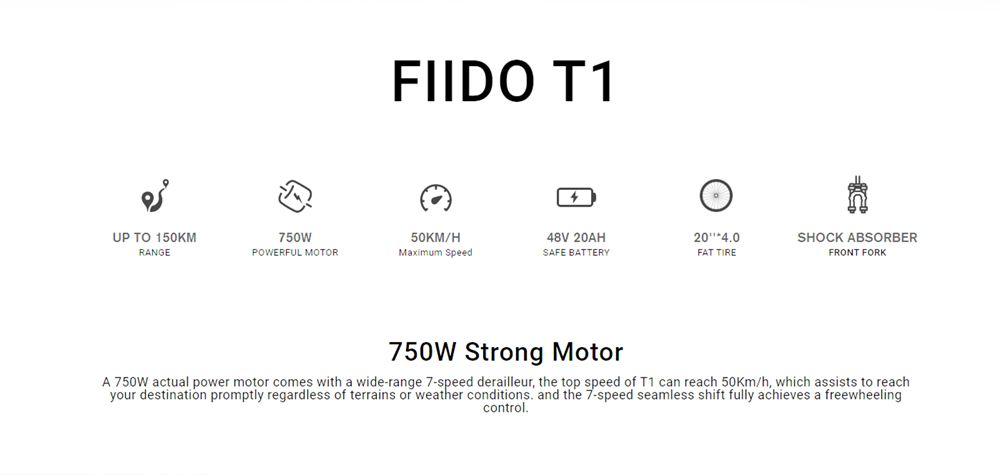 FIIDO T1 Cargo Electric Bike 750W Power 50km/h Max Speed 48V 20AH Lithium Battery 150km Range Shock Absorber - Green