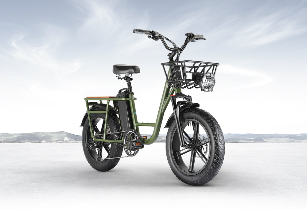 FIIDO T1 Cargo Electric Bike 750W Power 50km/h Max Speed 48V 20AH Lithium Battery 150km Range Shock Absorber - Green