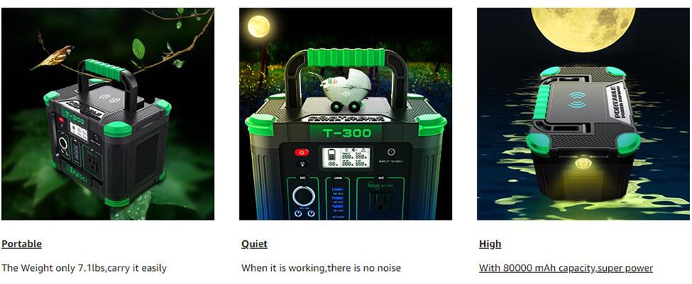 Eryisci T300 300W Portable Power Station Solar Generators for Home Use Outdoor RV Camping Travel 13 Eryisci T300 300W Portable Power Station Solar Generators for Home Use Outdoor RV Camping Travel