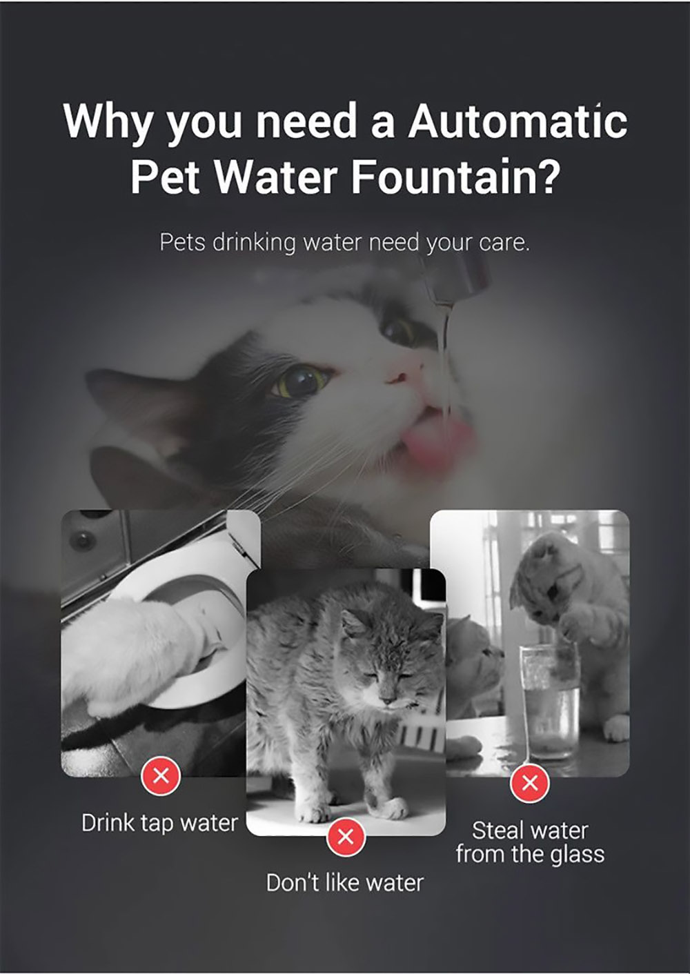 1.8L Pet Water Dispenser Filter Automatic Circulation  with 2 Water Flow Modes and 6 Degree Slope Design Ultra Silent Pump