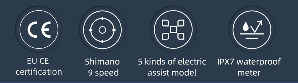 HIMO C30R MAX Electric Bicycle 250W Motor Max Speed Torque sensor 25km/h 36V 10AH 75km Max Range - Silver