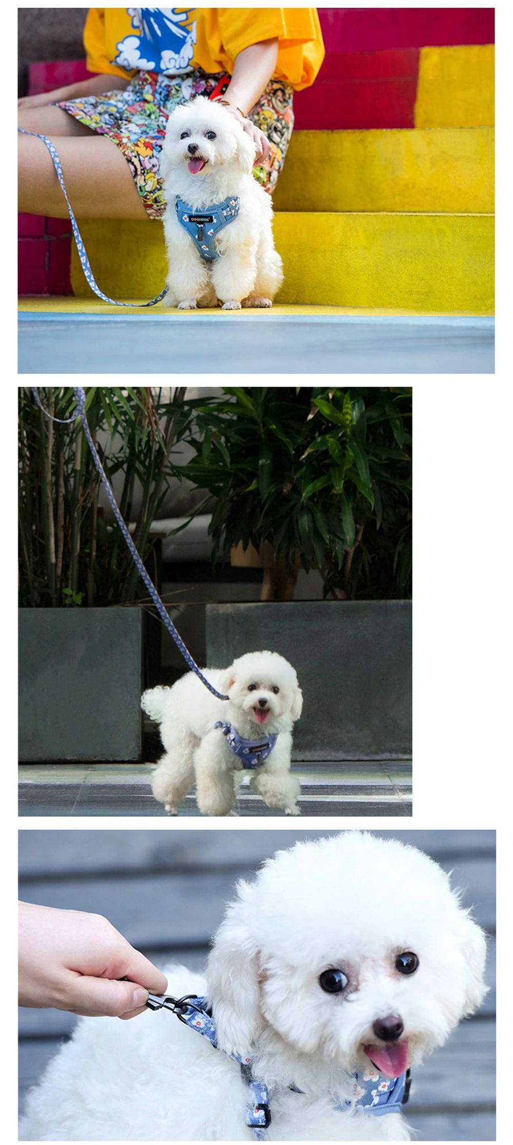 DOGNESS Harness Dog Leash Sets Adjustable Lengths Reflective Design Breathable Mesh Dogs Collar - Camouflage Green