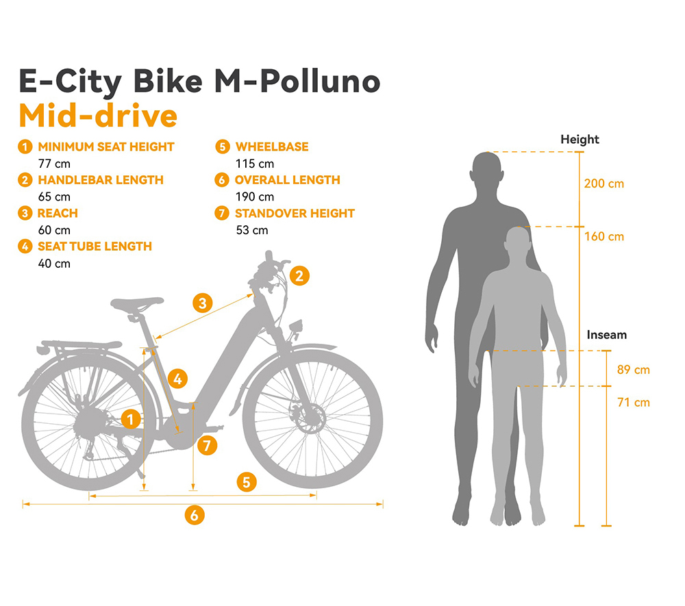 ESKUTE Polluno Pro Electric Bicycle 250W Mid-drive Motor 14.5Ah Battery for 80 Miles Range