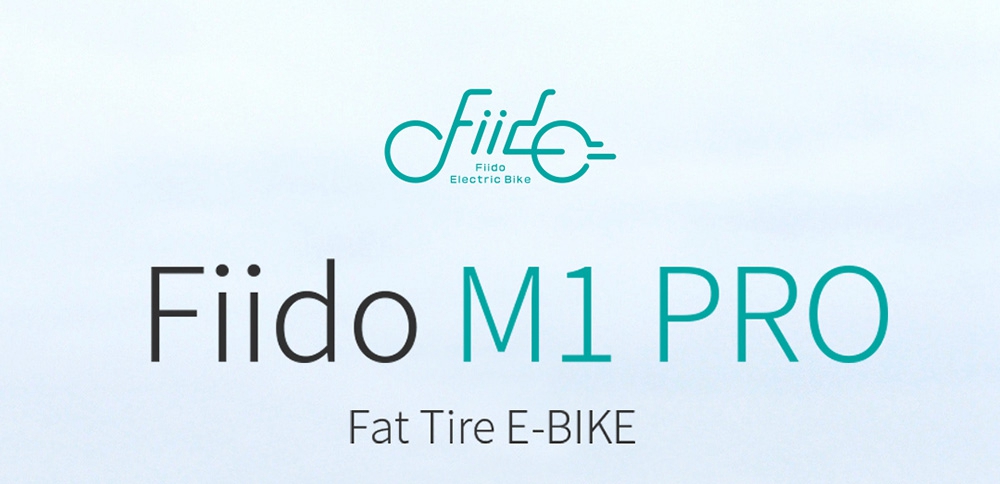 FIIDO M1 Pro 12.8Ah 48V 500W 20 Inches Folding Moped Bicycle 40km/h Top Speed 130KM Mileage Range Electric Bike