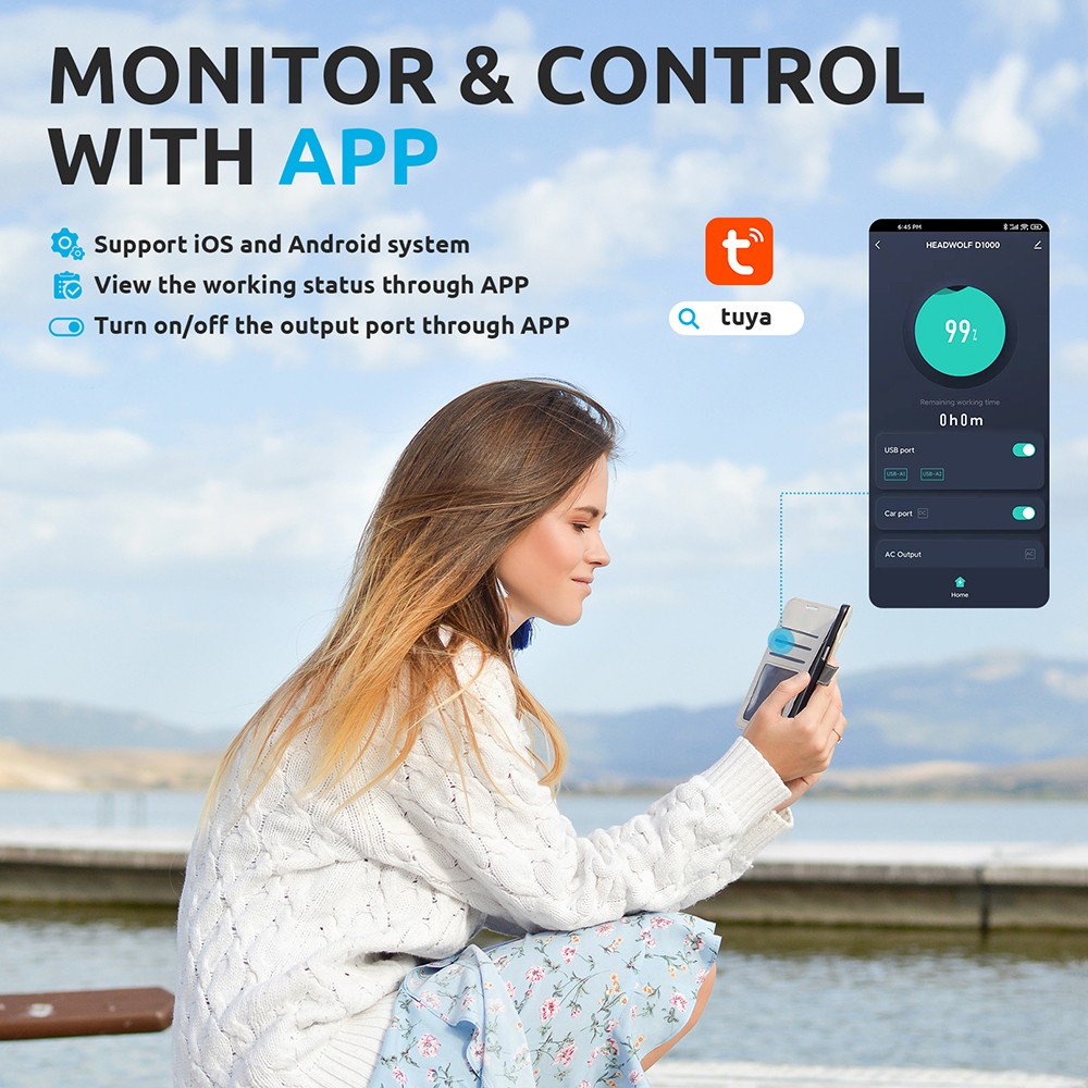 HEADWOLF D1000 Portable power station