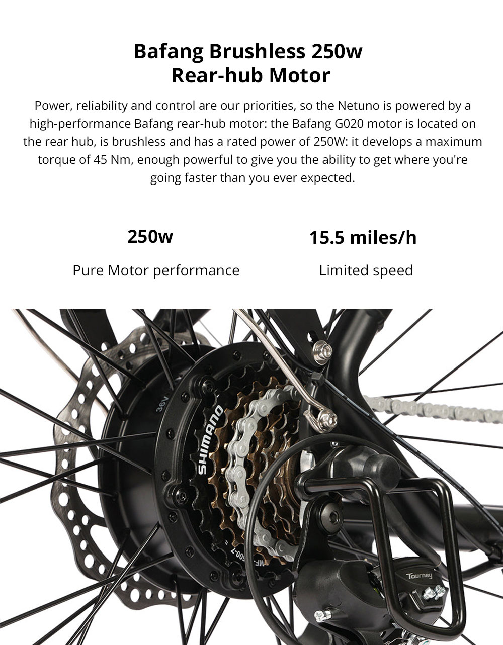 ESKUTE Netuno Electric Bicycle 250W Rear-hub Motor 14.5Ah Battery for 65 Miles Range Urban Bike