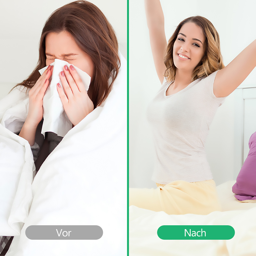 20L Dehumidifier Suitable for 55 square meters 3 in 1 Dehumidifier Air Purifier 4L Water Tank