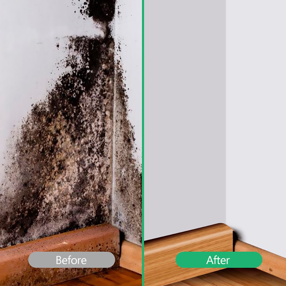 20L Dehumidifier Suitable for 55 square meters 3 in 1 Dehumidifier Air Purifier 4L Water Tank