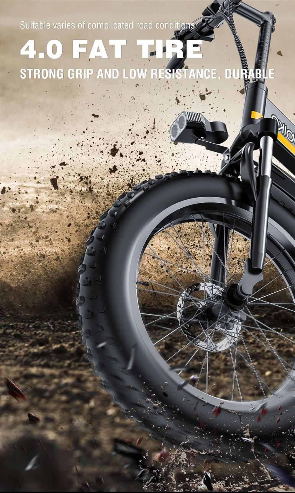 JANOBIKE H20 Electric Bicycle 48V 1000W Motor 9.6Ah Battery 20*4 Inch Tire Snow, Mountain, City Bike - Black