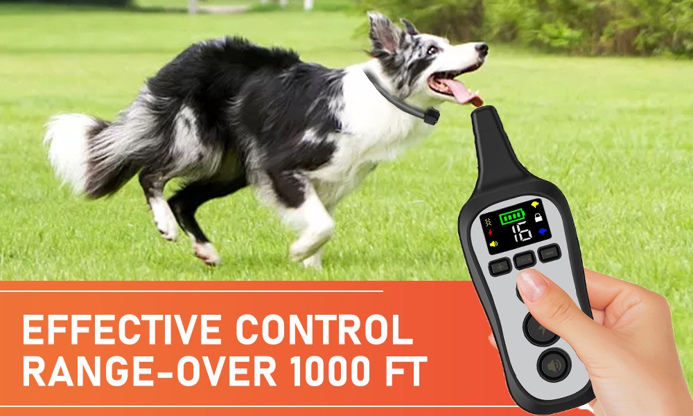 T11 Handheld Dog Training Device