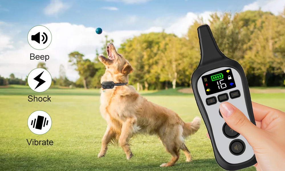 T11 Handheld Dog Training Device