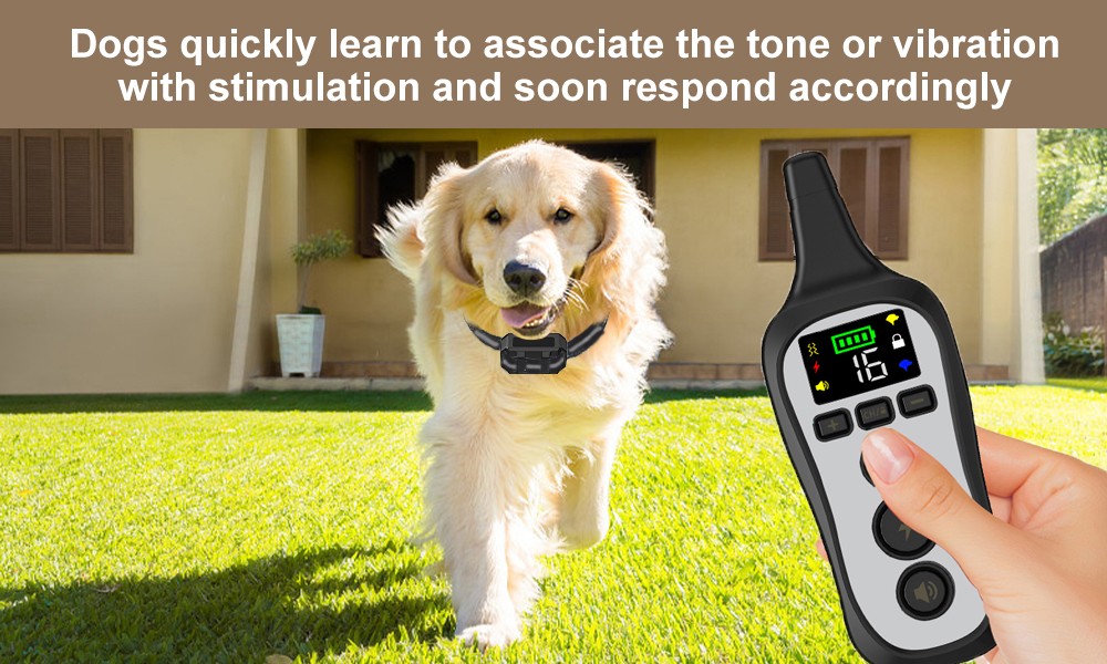 T11 Handheld Dog Training Device