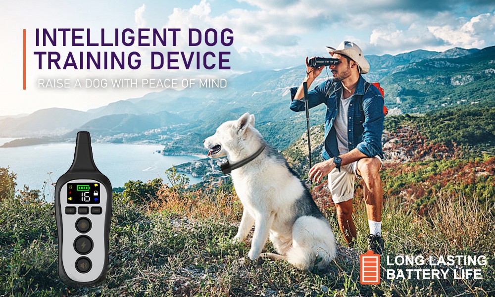 T11 Handheld Dog Training Device