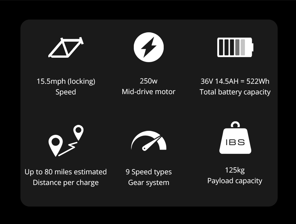 ESKUTE Netuno Pro Electric Bicycle 250W Mid-drive Motor 14.5Ah Battery for 80 Miles Range