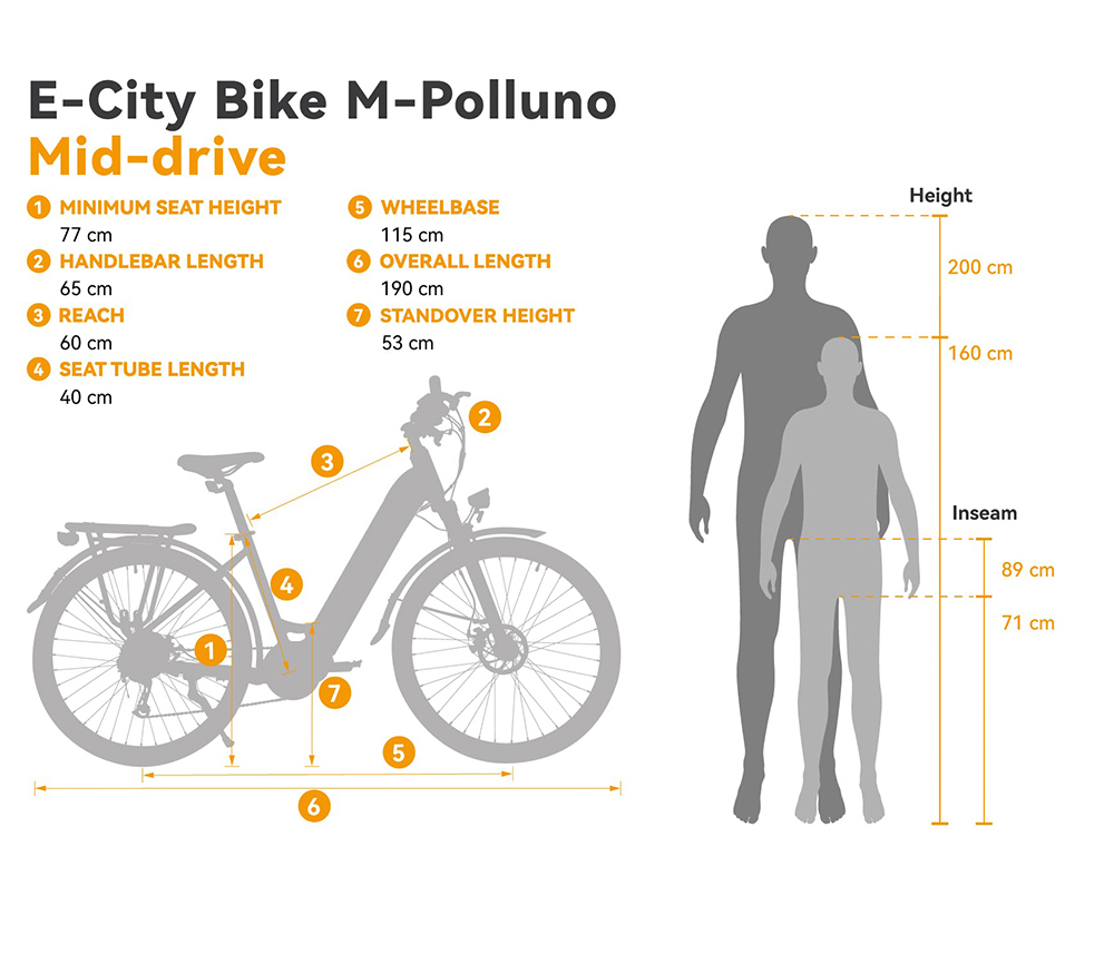 ESKUTE Netuno Pro Electric Bicycle 250W Mid-drive Motor 14.5Ah Battery for 80 Miles Range
