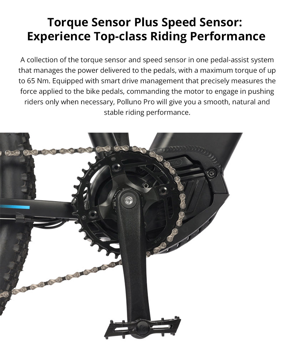 ESKUTE Polluno Pro Electric Bicycle 28'' Tire 250W Mid-drive Motor 14.5Ah Battery for 80 Miles Range