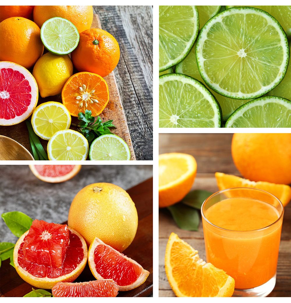 Sonifer SF5526 100W Citrus Press Juicer, Stainless Steel Orange Juice Maker Extractor, Lemon Pomegranate Fruit Squeezer