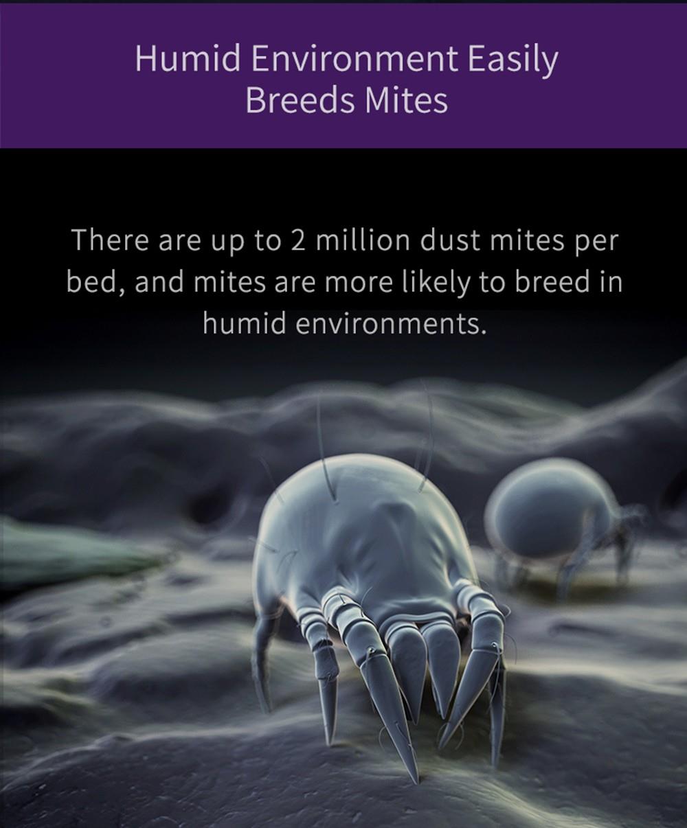 JIMMY JV35 Handheld Anti-mite Vacuum Cleaner High Temperature UV Acaricide 14Kpa Strong Suction 700W Power 5S Rapid Heating Dust Collector International Version from Xiaomi Youpin - Gray