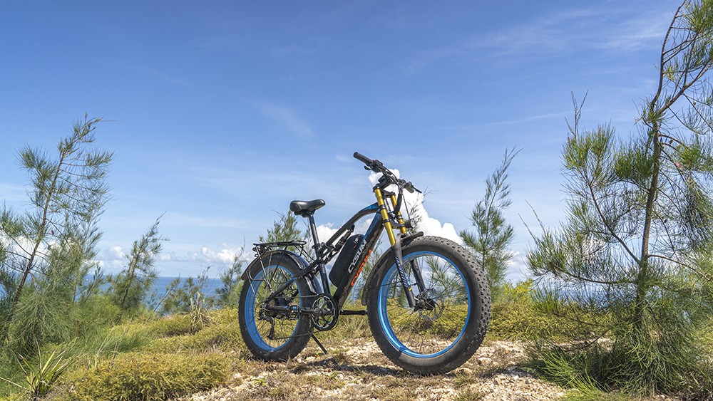 CYSUM M900 Fat Tire Electric Bike 48V 1000W Brushless Gear Motor 17Ah Removable Battery for 50-70 Range - Black-Green 13 CYSUM M900 Fat Tire Electric Bike 48V 1000W Brushless Gear Motor 17Ah Removable Battery for 50-70 Range - Black-Green