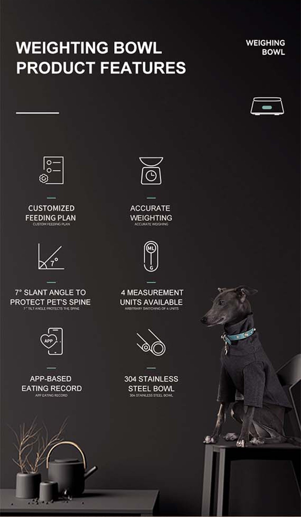 Pawbby Smart Pet Bowl Black