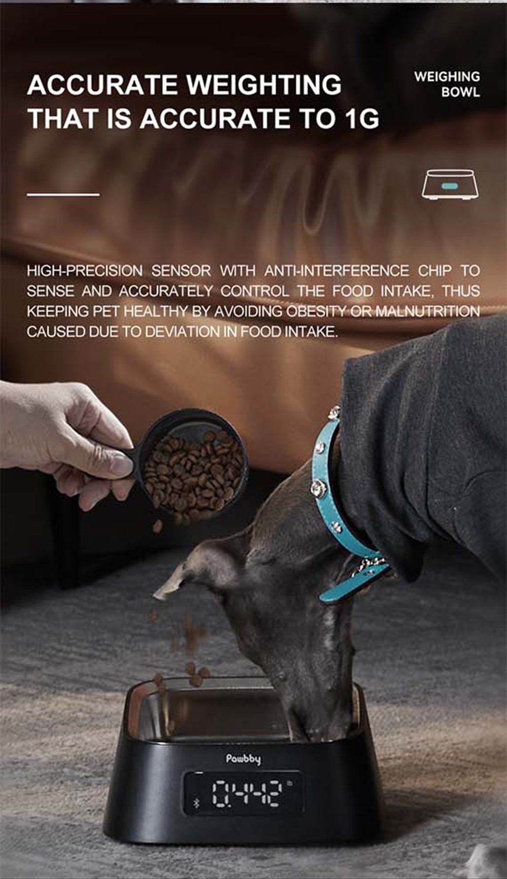 Pawbby Smart Pet Bowl Black