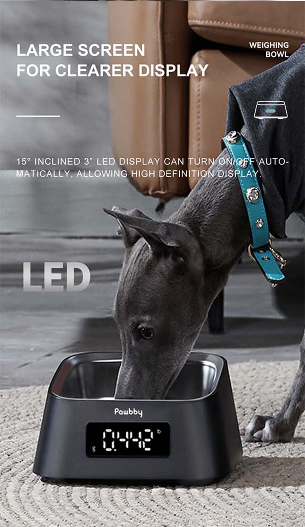 Pawbby Smart Pet Bowl Black