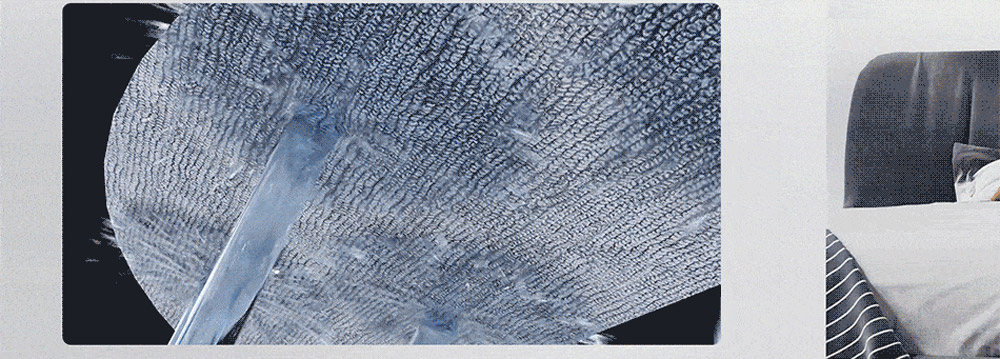 Redroad G10 Self-cleaning Robot Vacuum Cleaner 2800pa Suction High-Frequency Vibrating Mopping Auto Mop Lifting Electrolytic Water Sterilization LDS Navigation TOF Obstacle Avoidance 5200mAh Battery 450ml Dustbin 450ml Water Tank APP Control - White