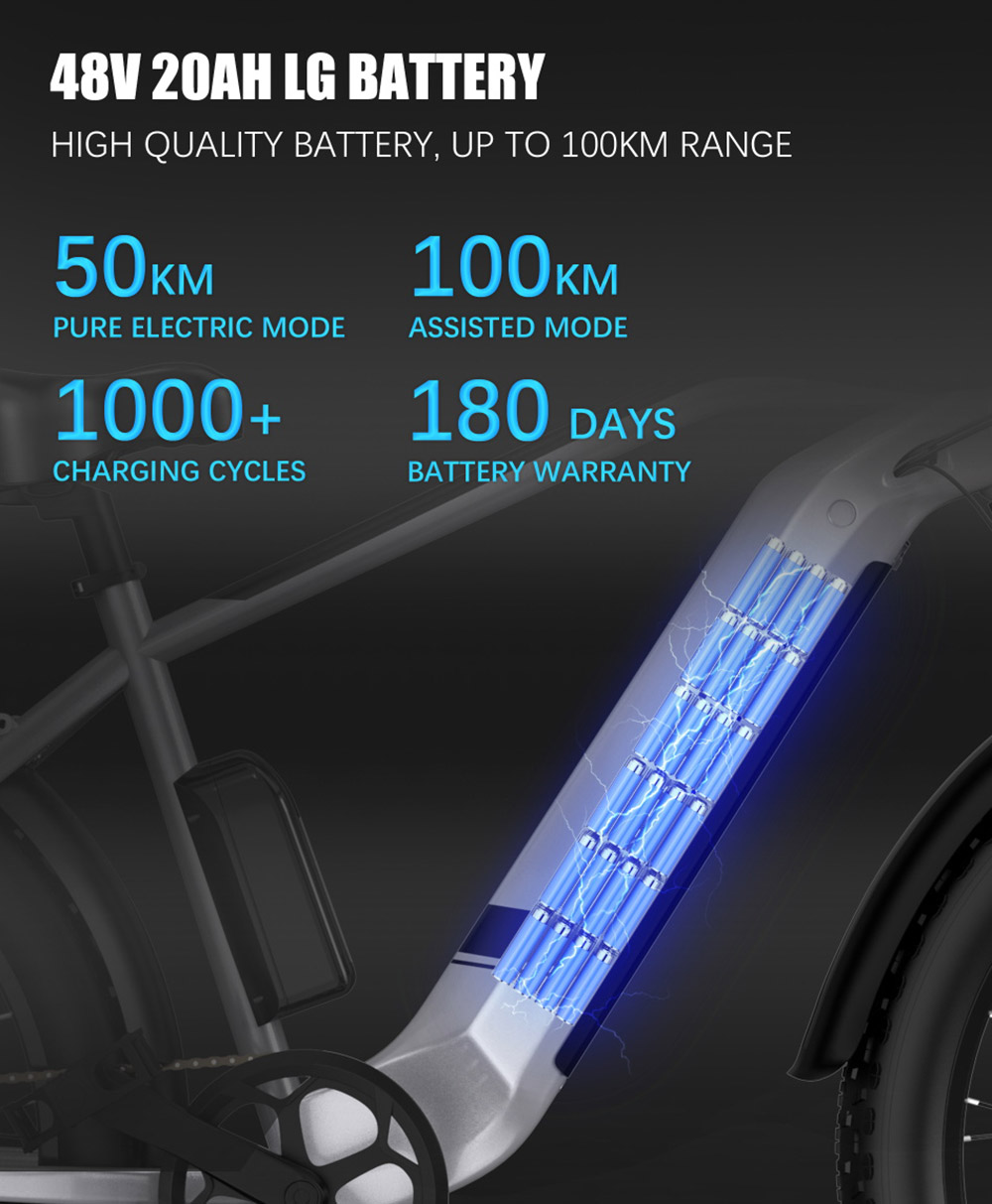 DUOTTS F26 Electric Bike 750W*2 Dual Motors LG 20Ah Battery 26*4.0 Fat Tire 55km/h Max Speed 55 Degree Climbing - Silver