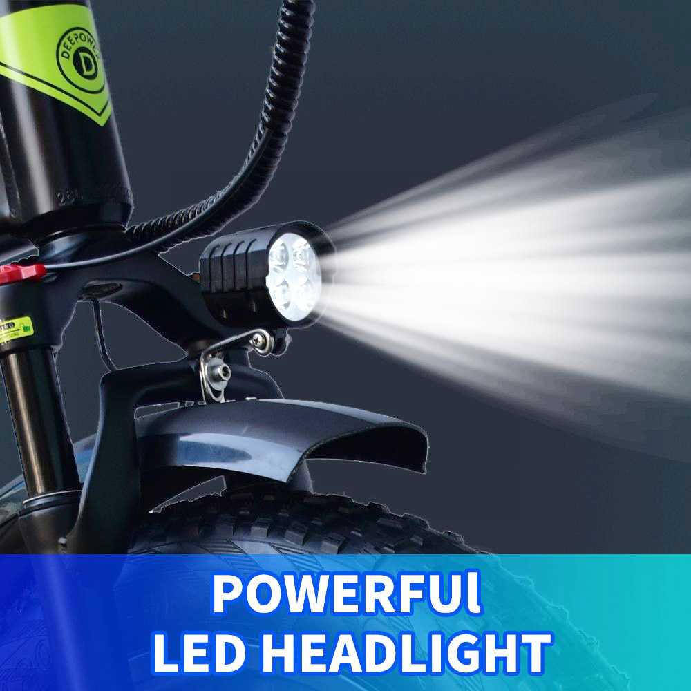 DEEPOWER H20pro (GR20) Electric Bike 20*4.0 inch Tire 48V 1000W Motor 17.5Ah Battery Shimano 7 Speed Gear 150kg Load