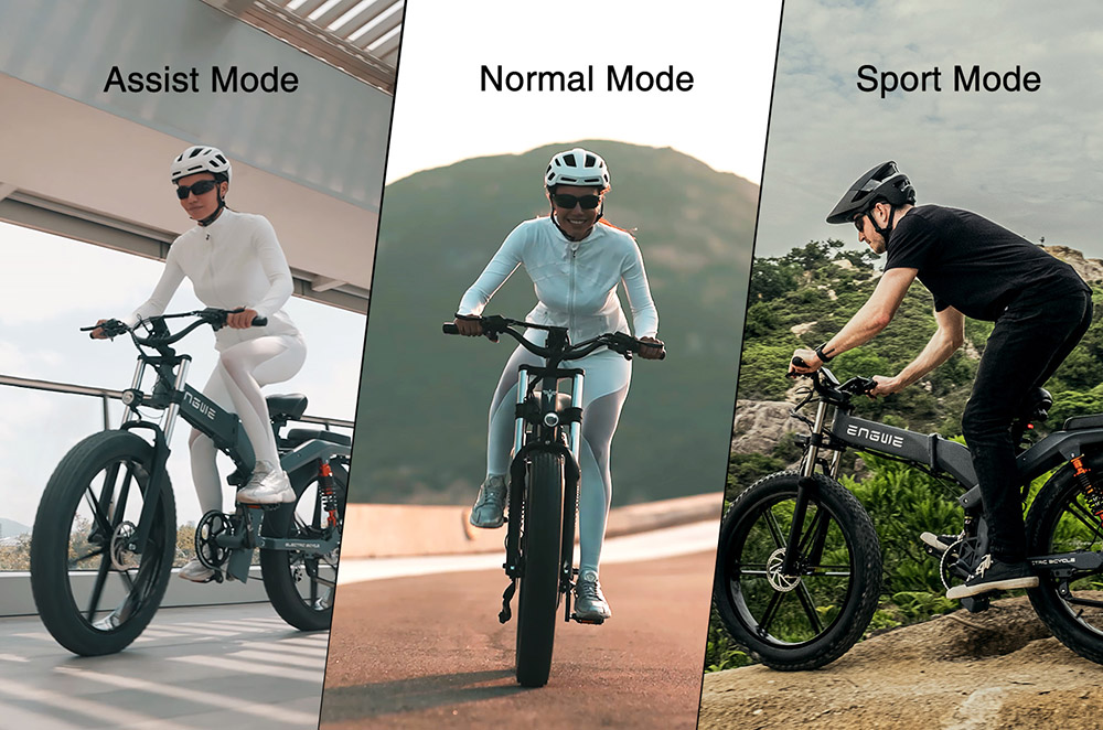 ENGWE X26 Electric Bike 48V 1000W Motor 19Ah & 7.5Ah Dual Battery for 57.7 Miles Range, 26*4.0 inch Fat Tire