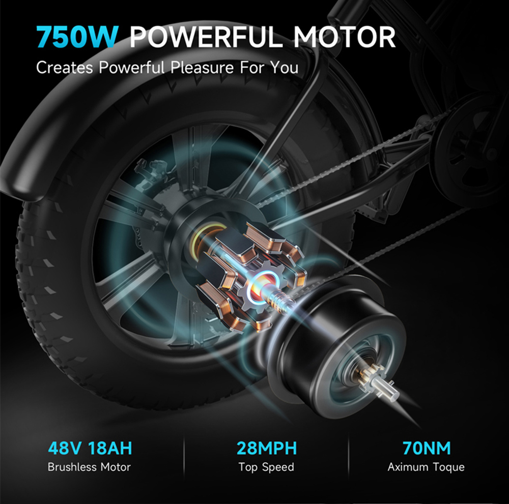 HAPPYRUN HR-G50 Electric Bike 18Ah Battery 750W Motor 20 Inch 50Km/h Max Speed Retro Ebike Max Load 150kg