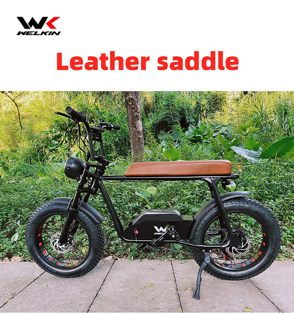 https://img.gkbcdn.com/s3/d/202211/WELKIN-WKEM003-Electric-Bike-Retro-Bicycle-1200W-Motor-Black-518140-1.jpg