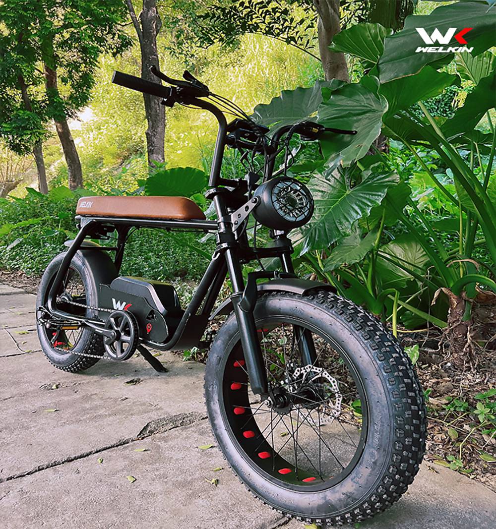 https://img.gkbcdn.com/s3/d/202211/WELKIN-WKEM003-Electric-Bike-Retro-Bicycle-1200W-Motor-Black-518140-6.jpg