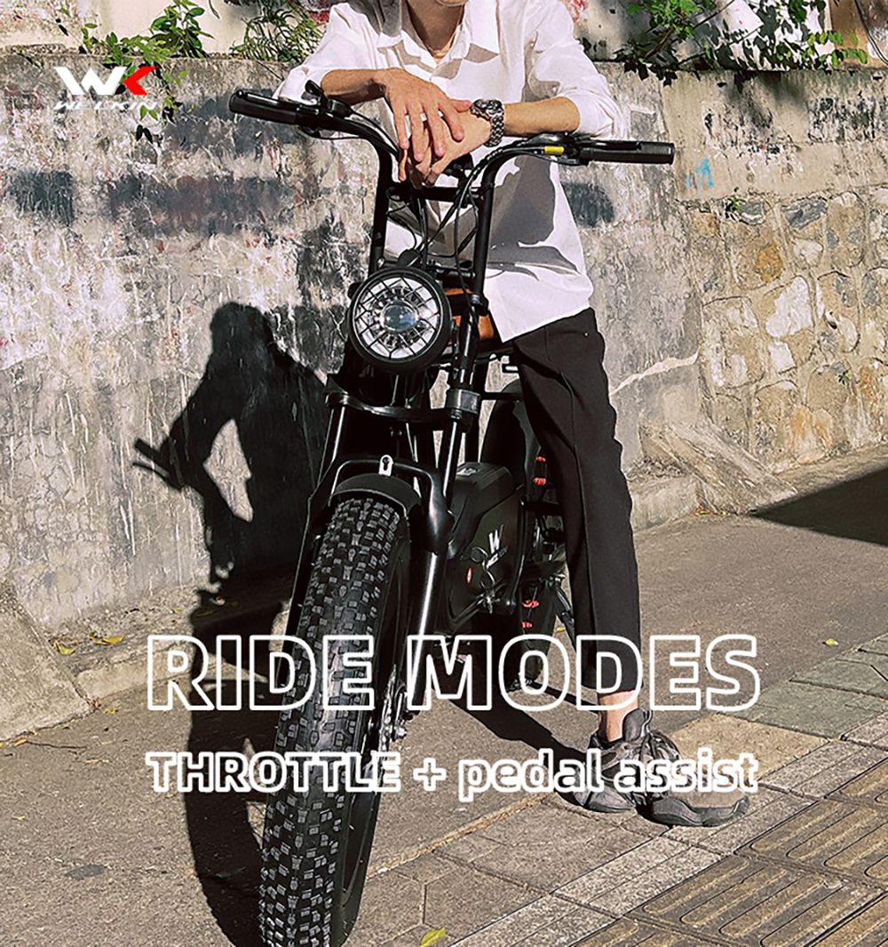 https://img.gkbcdn.com/s3/d/202211/WELKIN-WKEM003-Electric-Bike-Retro-Bicycle-1200W-Motor-Black-518140-9.jpg