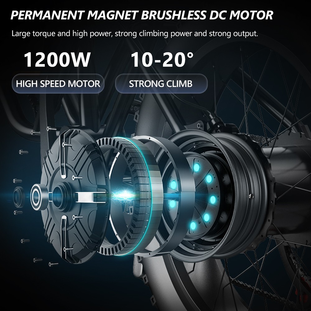 Hidoes B3 Electric Mountain Bike 26*4.0 Inch Off-Road Fat Tires 1200W Brushless Motor 25Km/h Max Speed 48V 17.5Ah Battery For 50-60KM Mileage -rockbros-shop Hidoes B3 Electric Bike 1200W Brushless Motor EU 518649 5