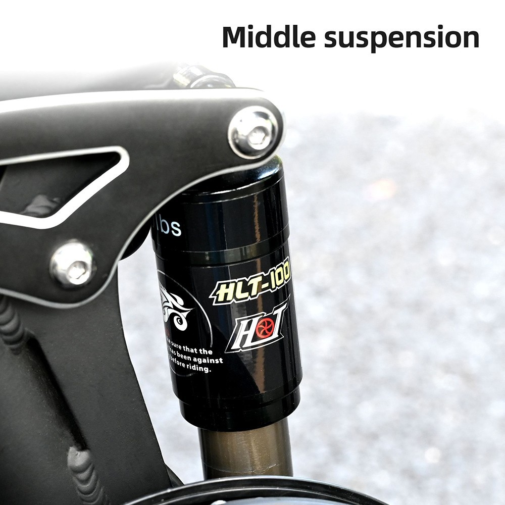 ENGWE X Folding Electric Bike 20*4.0 Inch Chaoyang Off-Road Fat Tires 250W Motor E-Bike 48V 13Ah Battery 25Km/h Max Speed 100KM Range Dual Disc Brake 150KG Max Load - Black -rockbros-shop ENGWE X 250W Motor Folding Ebike Fat Tire Electric Bike 519075 14