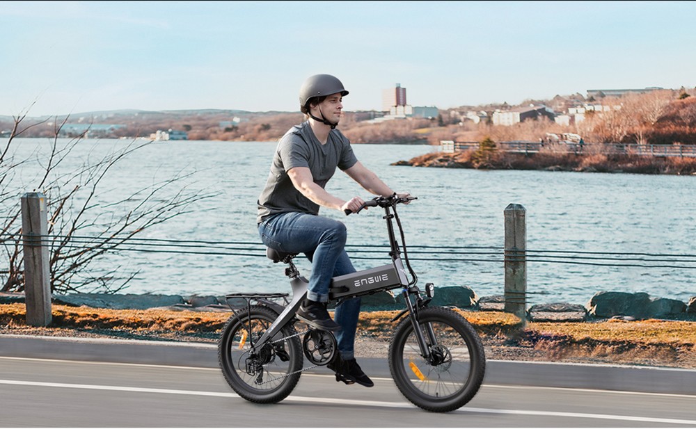 ENGWE C20 Pro Folding E-bike 20*3.0'' Fat Tires Bafang 250W Brushless Motor 36V 15.6Ah Battery 25Km/h Max Speed 60KM Range Dual Mechanical Disc Brake - Black