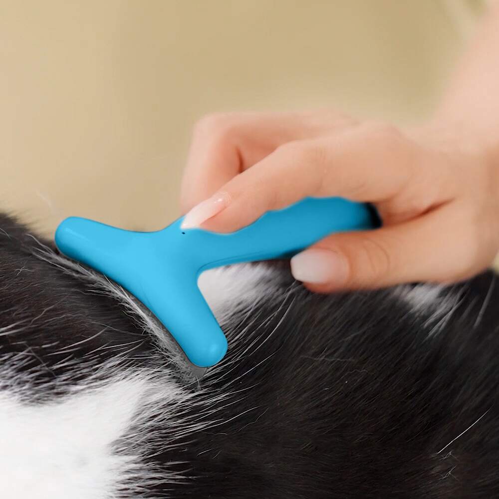 Fluffee Pet Hair Comb with 3 Replaceable Combs Blue