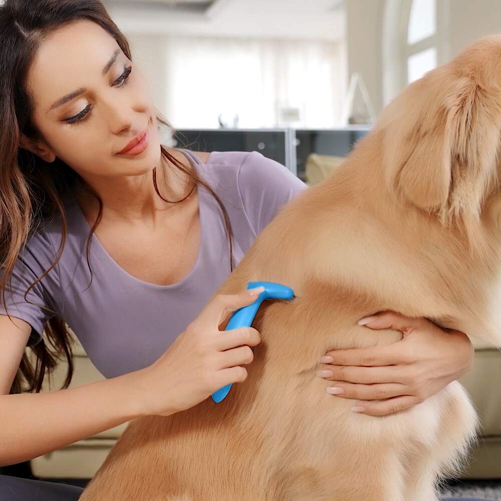 Fluffee Pet Hair Comb with 0.8mm / 1.0mm / 1.5mm Replaceable Combs - Blue