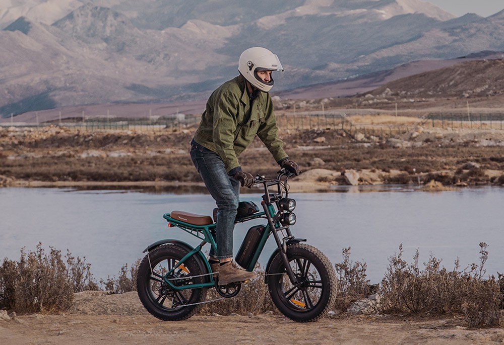 ENGWE M20 2*13Ah Batteries 20*4.0 inch Tires 750W Brushless Motor 45km/h Max Speed Front & Rear Disc Brakes - White