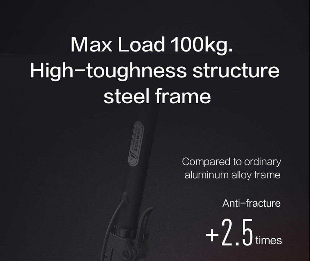 Ninebot D38E Electric Scooter Foldable 10in Tires 350W Hub Motor 25km/h Max Speed 36V 10.2Ah Battery 38km Range