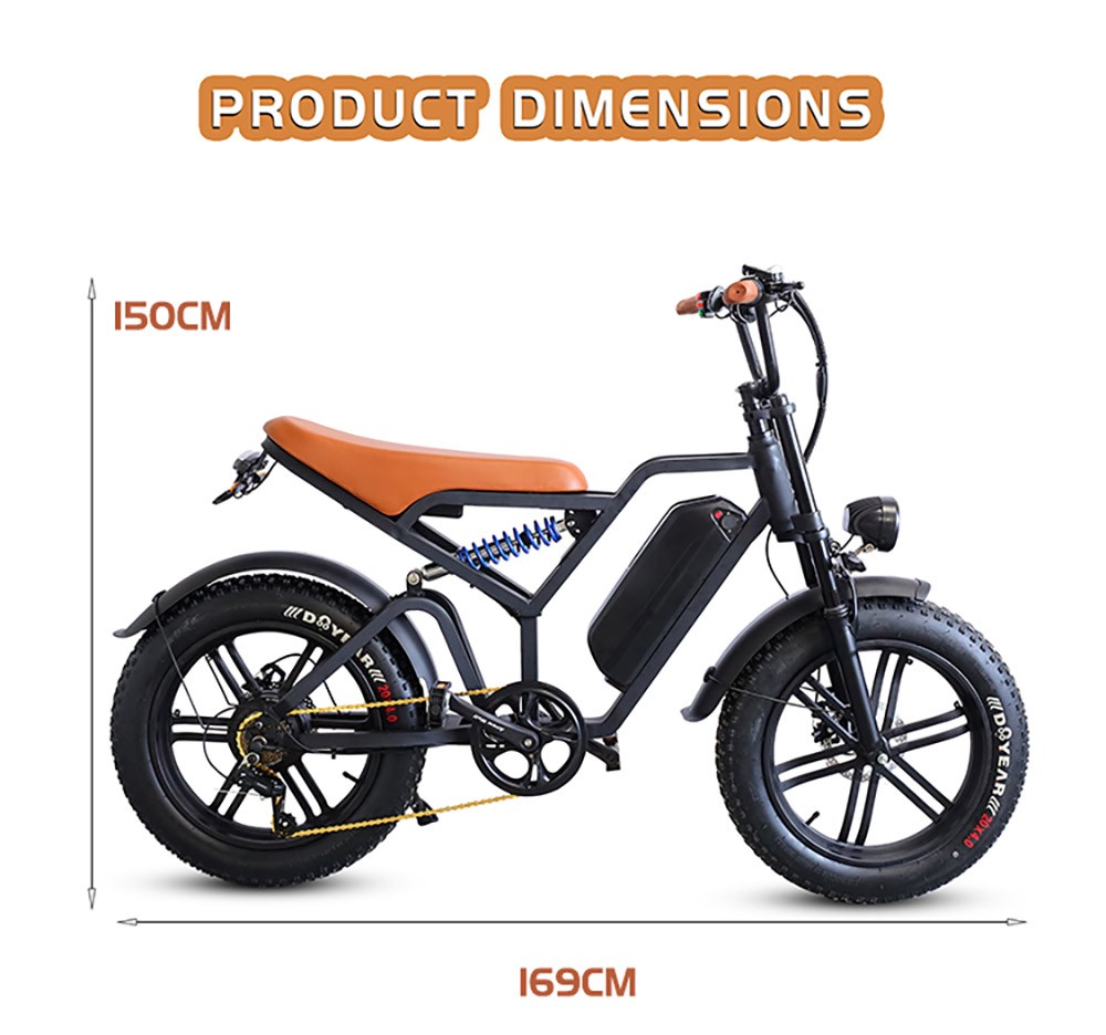 E11 Electric Bike 20*4.0 inch Tire 48V 1000W Motor 45km/h Max Speed 20Ah Battery 40-60km Range Double Disc Brake