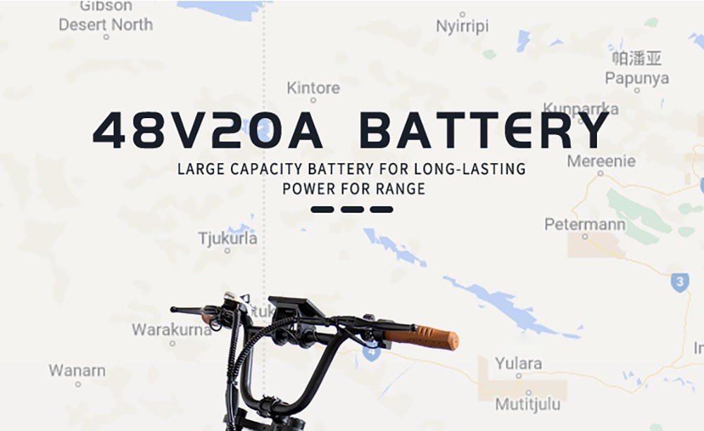 E11 Electric Bike 20*4.0 inch Tire 48V 1000W Motor 45km/h Max Speed 20Ah Battery 40-60km Range Double Disc Brake