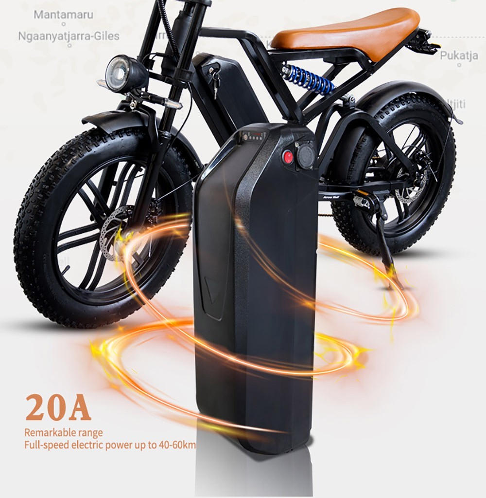 E11 Electric Bike 20*4.0 inch Tire 48V 1000W Motor 45km/h Max Speed 20Ah Battery 40-60km Range Double Disc Brake