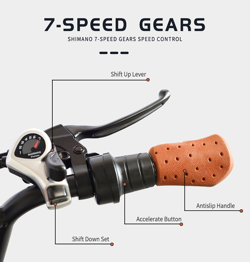 E11 Electric Bike 20*4.0 inch Tire 48V 1000W Motor 45km/h Max Speed 20Ah Battery 40-60km Range Double Disc Brake