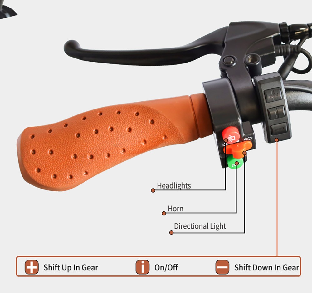 E11 Electric Bike 20*4.0 inch Tire 48V 1000W Motor 45km/h Max Speed 20Ah Battery 40-60km Range Double Disc Brake
